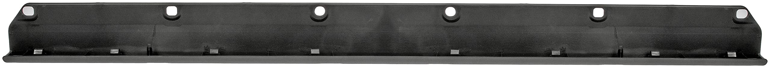 Dorman 924-569 Tailgate Molding Assembly Compatible With Select Toyota Models, Black