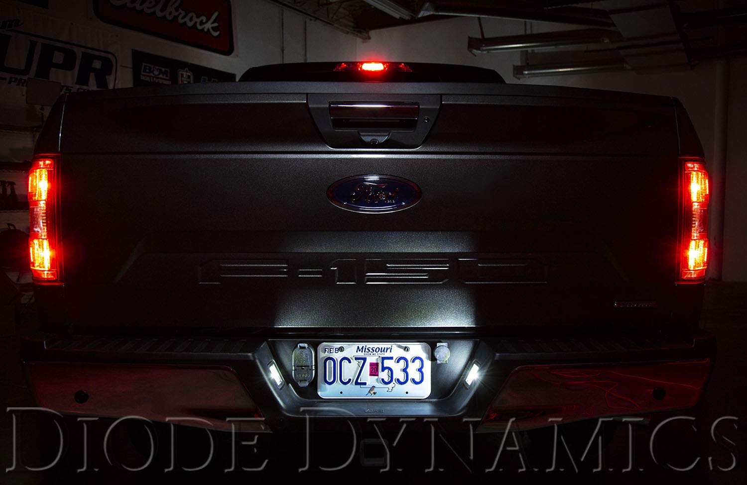 Diode Dynamics License Plate Leds Compatible With Ford F-150 2018-2024 (Pair), 194 Smd2 Cool White (6000K)