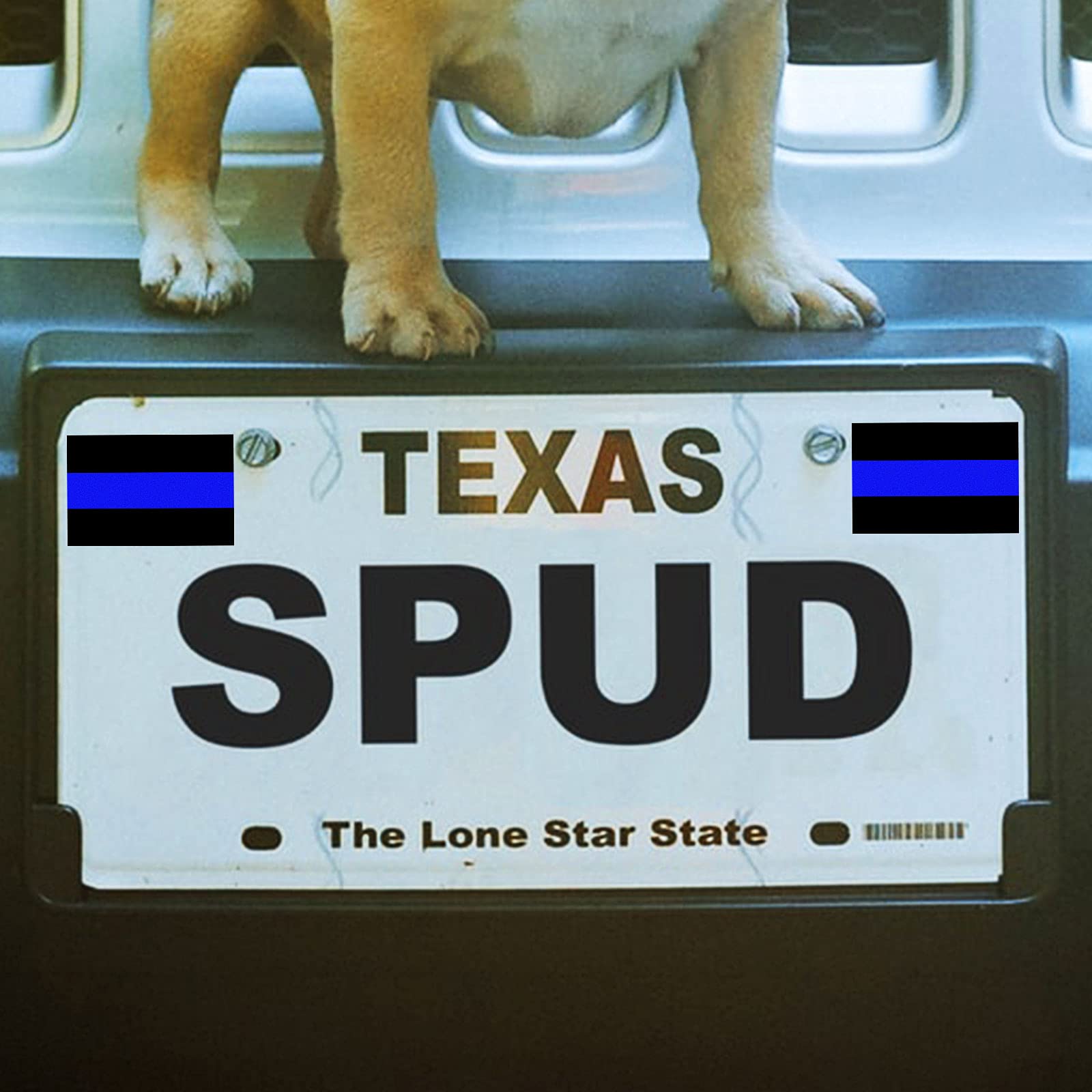 Reflective Blue Lives Matter License Plate Sticker - Pack Of 20 Vinyl Decal - Cop Thin Blue Line Decals - Proudly Support Police