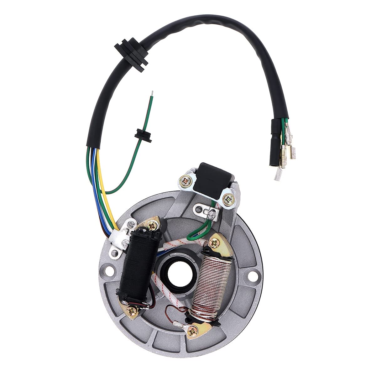 Windance 2 Coil Ignition Magneto Stator Plate for 50cc 70cc 90cc 110cc 125cc Chinese Dirt Bike Taotao Kazuma SSR Baja ATV Quad 4