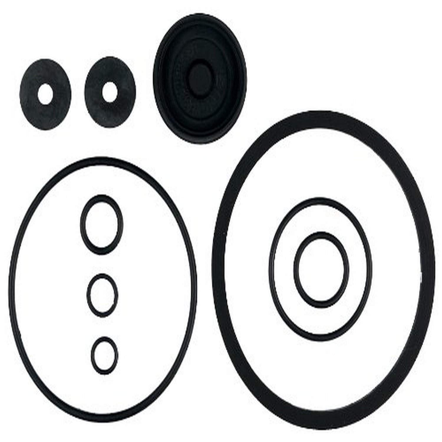 Piston Pump Repair Kit (Pack Of 1)