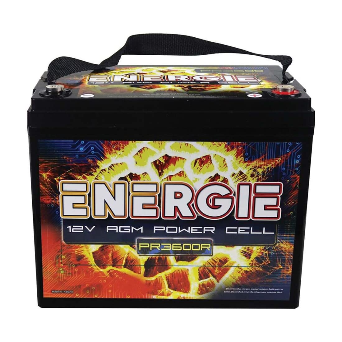 Reikken Pr600 Energie 600 Watt 12 Volt Power Cell