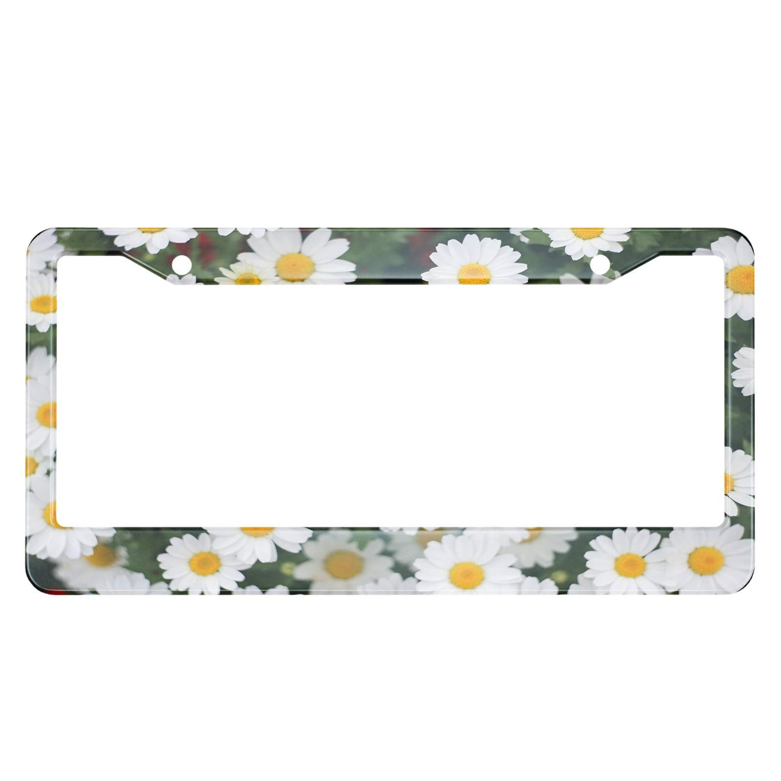 HOSNYE Daisy Flower License Plate Frame White and Yellow in The Grass Metal License Plate Cover Front Plates Frames Car Tag Fram
