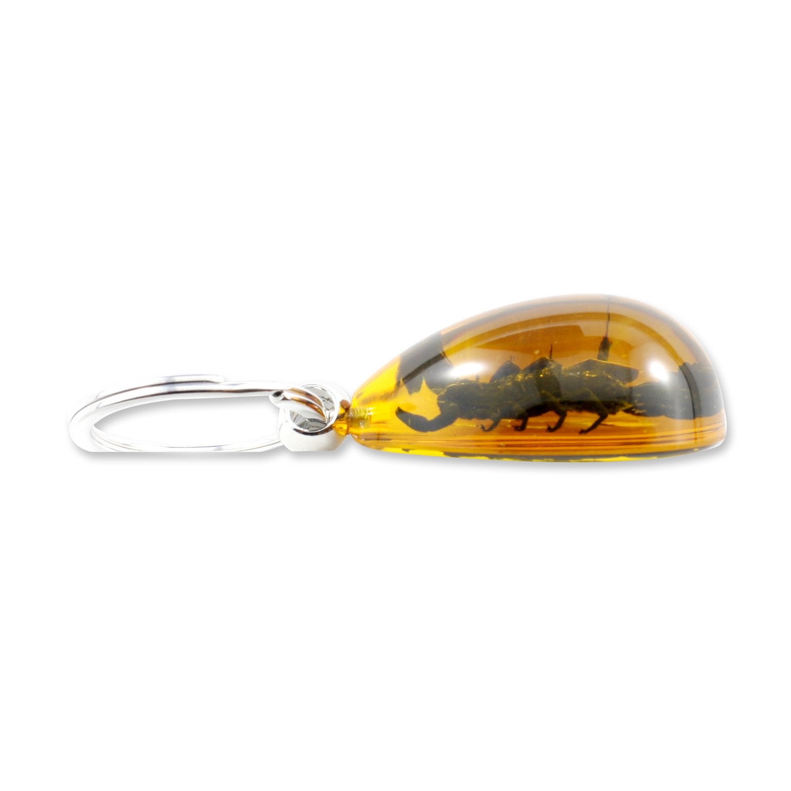 Black Scorpion Key Chain Tear Drop Amber