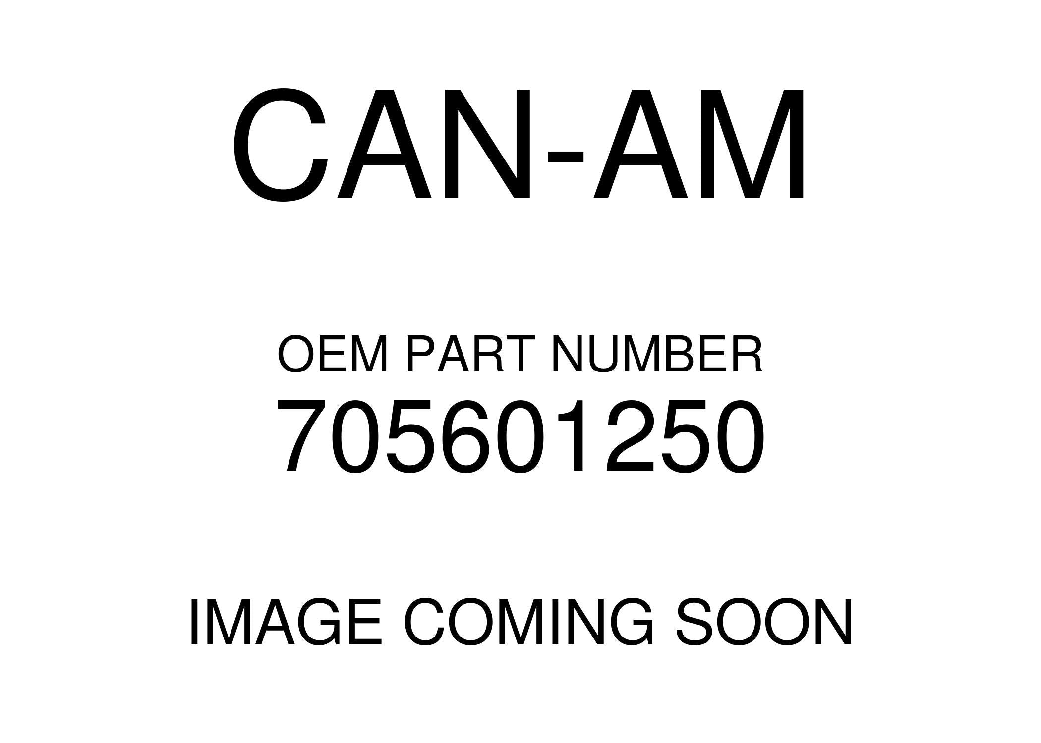 Can-Am 2014-2018 Maverick 1000 Maverick Brake Switch 705601250 New OEM