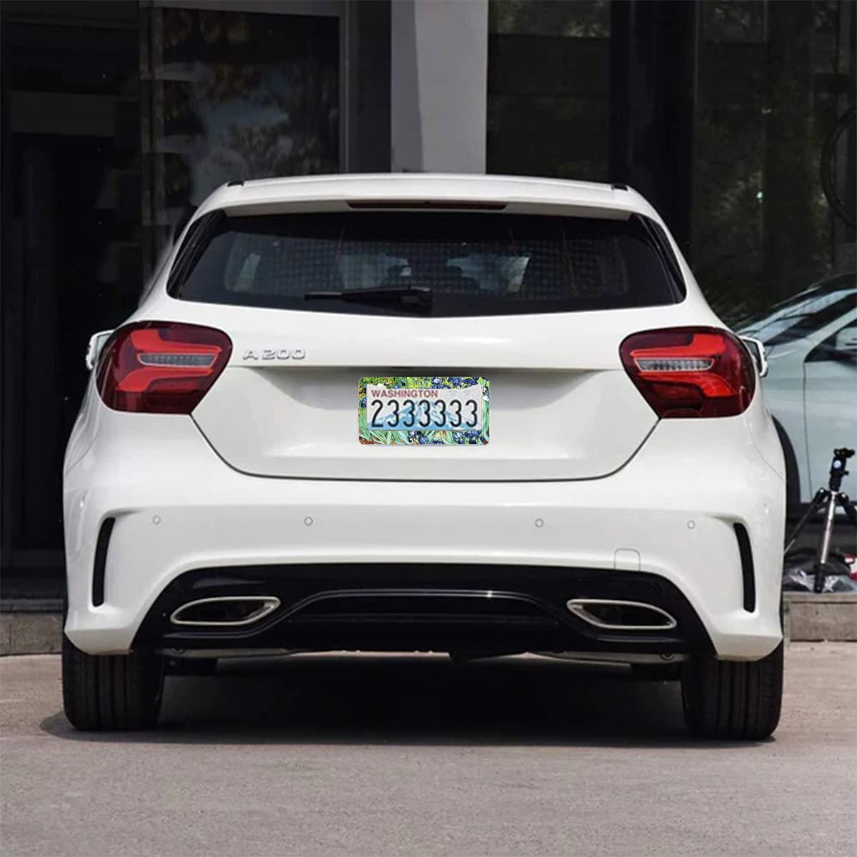 2Pcs Irises Watercolor Iris Floral License Plate Frames Cover Holders Stainless Steel License Plate Cover With Screw Caps Cover