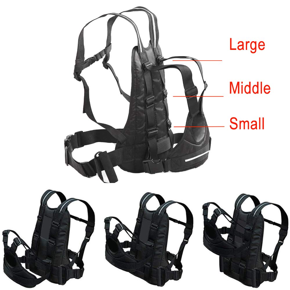 Jolik Child Motorcycle Harness, Adjustable with Two Handles, Breathable Polyester, 1 Count, Black, Model BD0BB80100