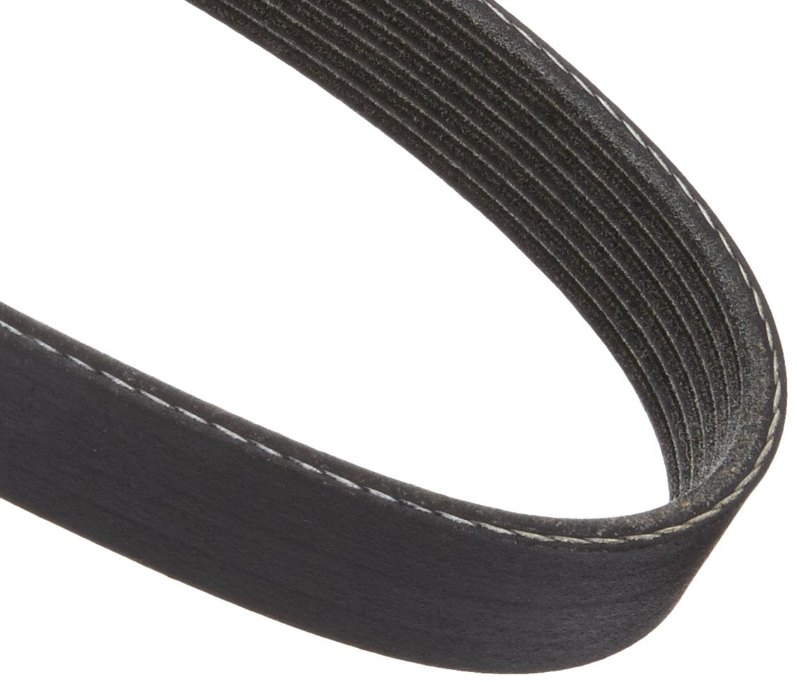 Dayco 5071248 Serpentine Belt