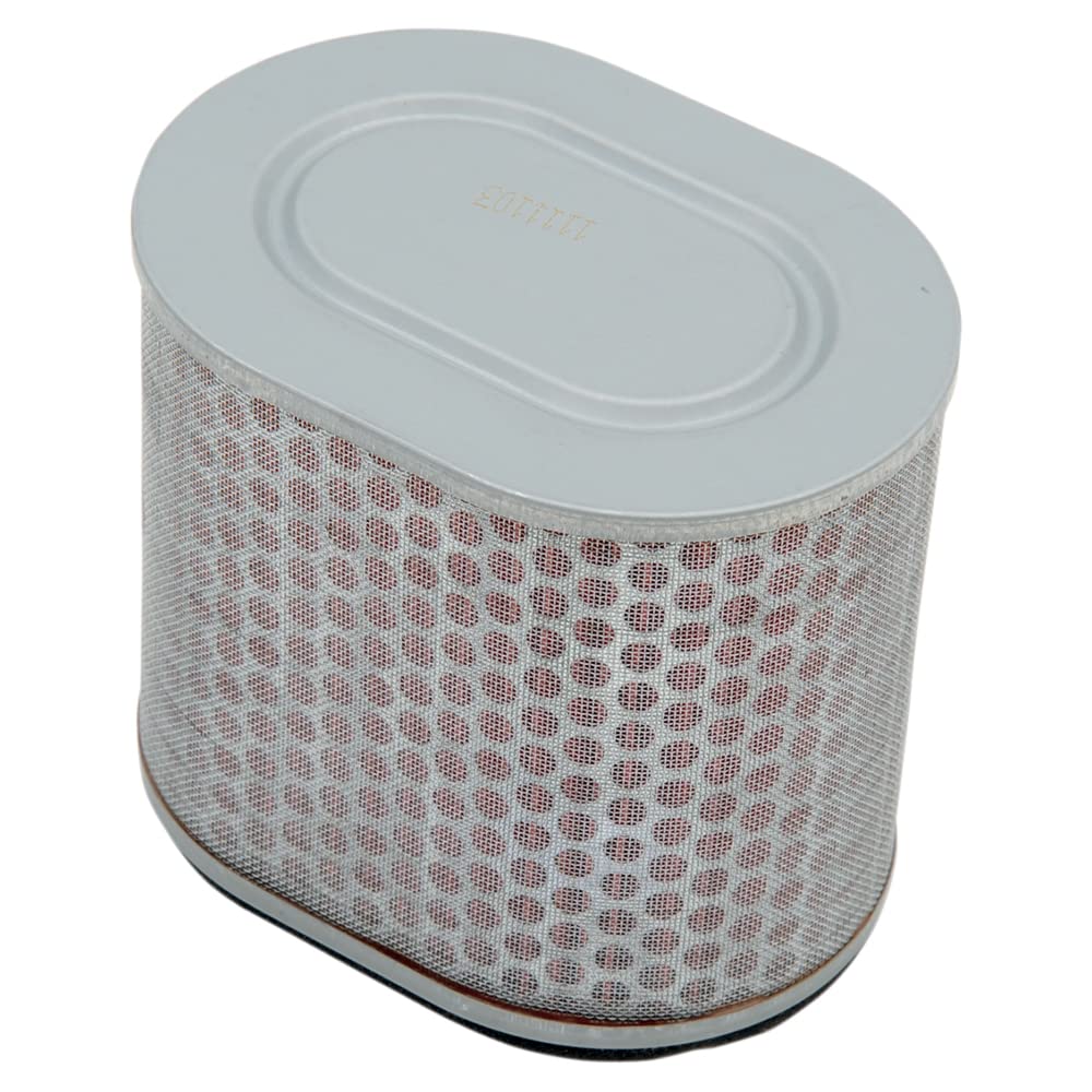 Hiflofiltro Hfa1713 Premium Oe Replacement Air Filter, Black