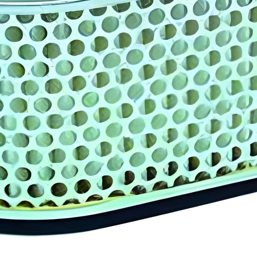 Hiflofiltro HFA3705 Premium OE Replacement Air Filter, Black