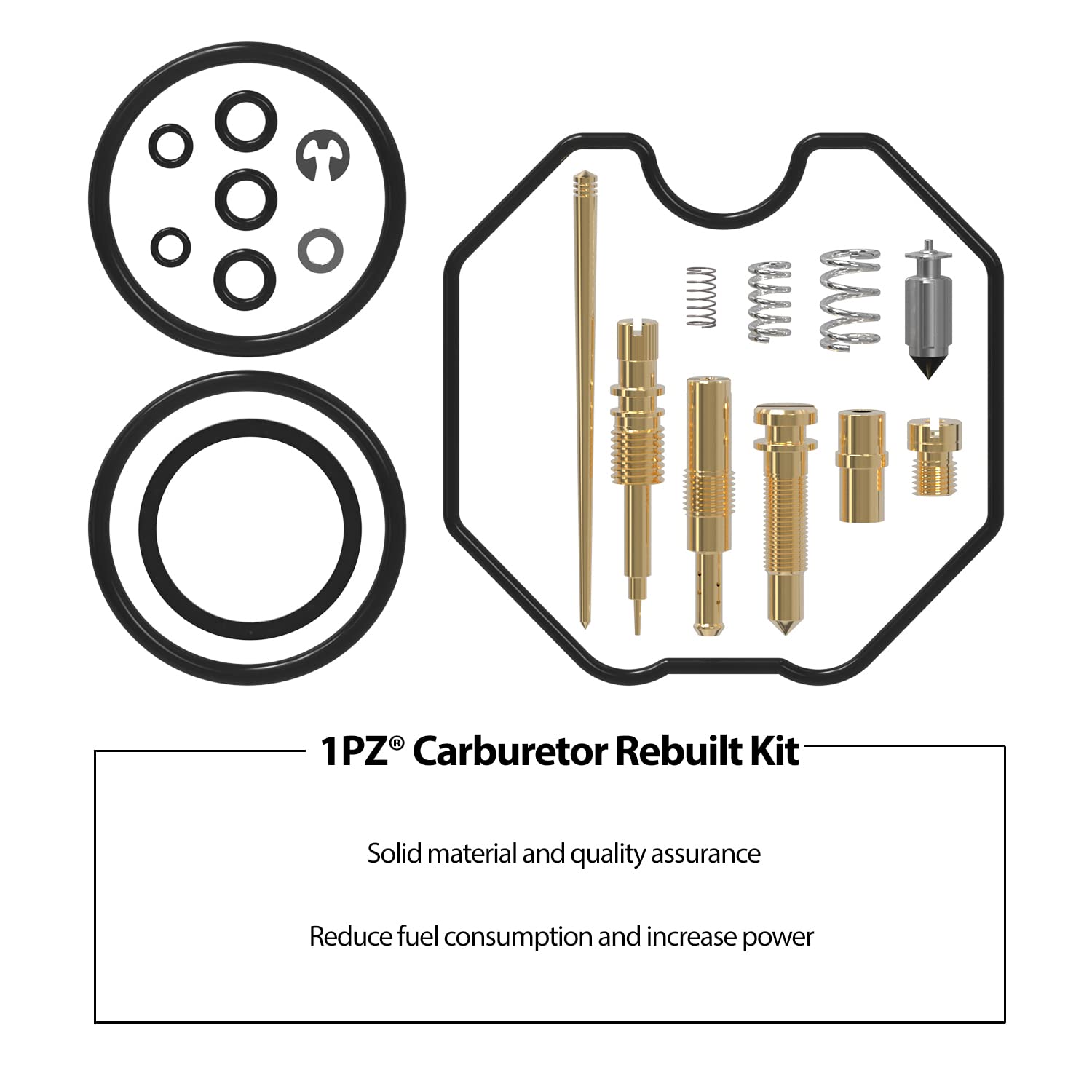 1PZ Carburetor Rebuild Kit for Honda Recon TRX 250 TRX250ES TRX250EX TRX250TE TRX250TM 1997-2005
