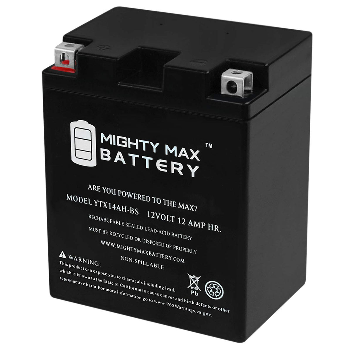 Mighty Max Battery Ytx14Ah-Bs - 12 Volt 12 Ah, 210 Cca, Rechargeable Maintenance Free Sla Agm Motorcycle Battery