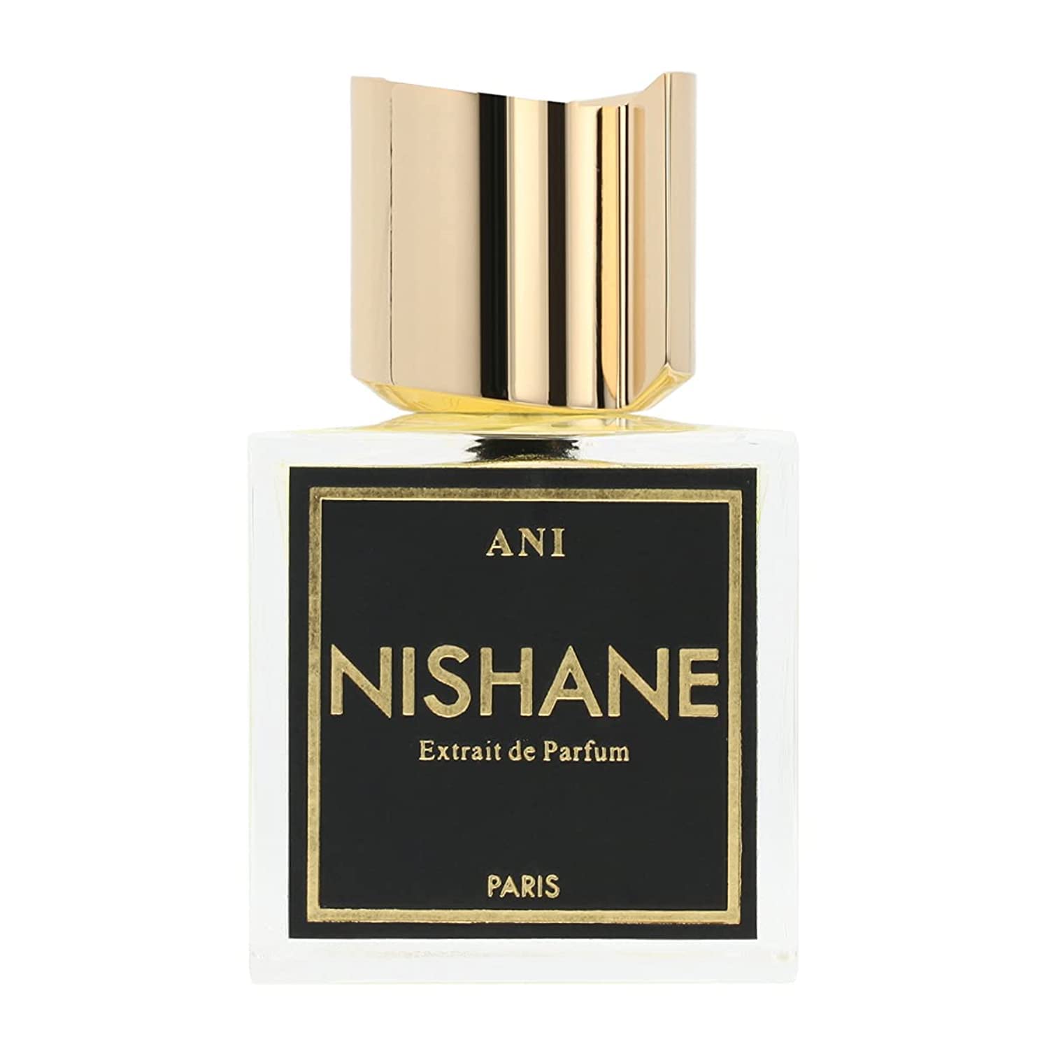 Nishane Ani Extrait De Parfum Spray for Unisex  3.4 Ounce-New