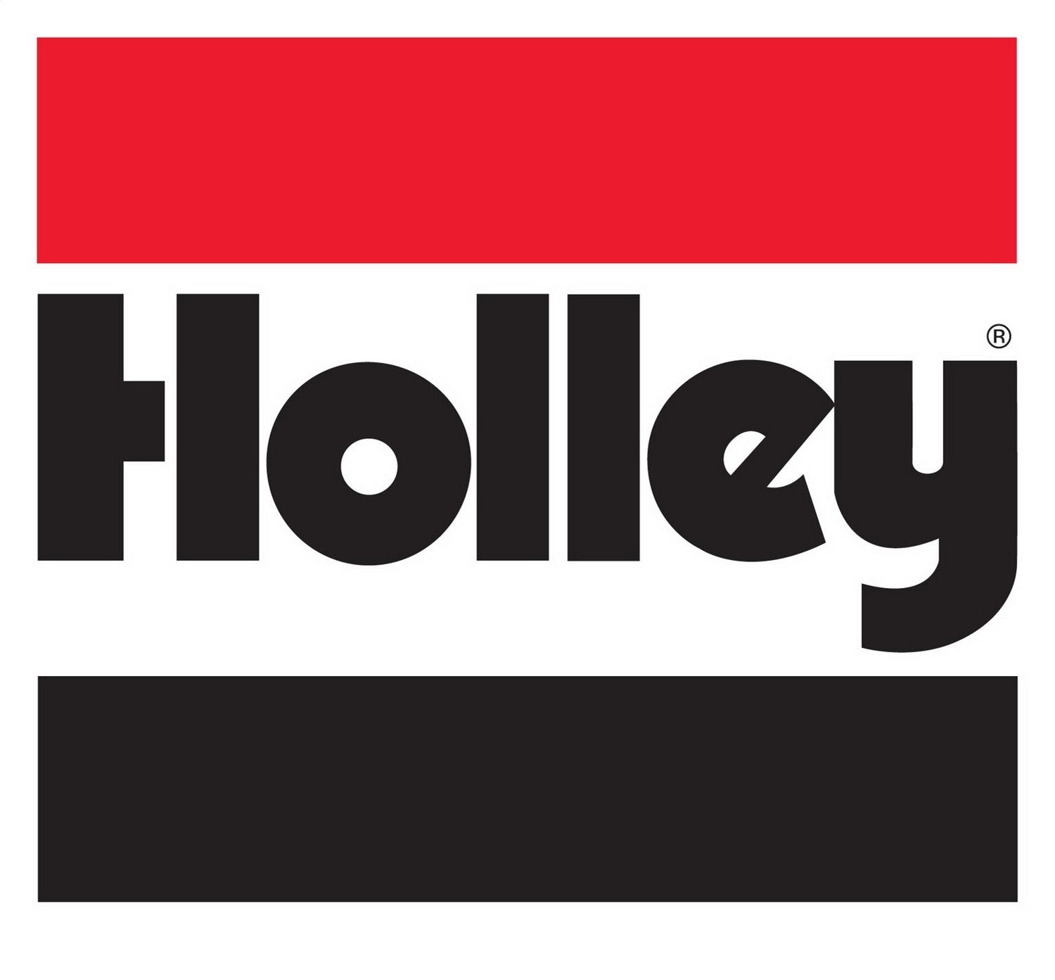 Holley Efi 562-1 Fuel Filter