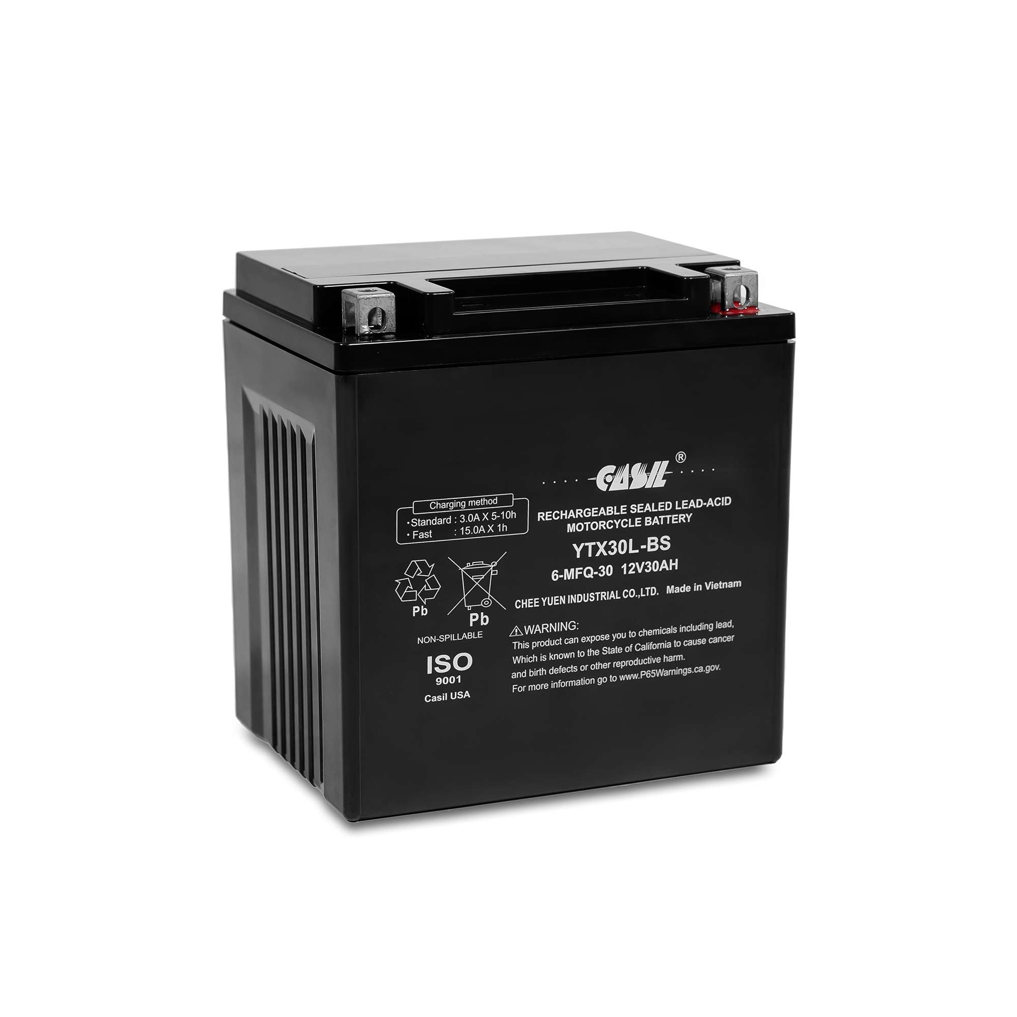 Casil Ytx30L-Bs Power Sports Replacement Yuasa Yix30L Motorcycle Battery - Maintenance Free - Sealed Agm Battery Etx30L Bs