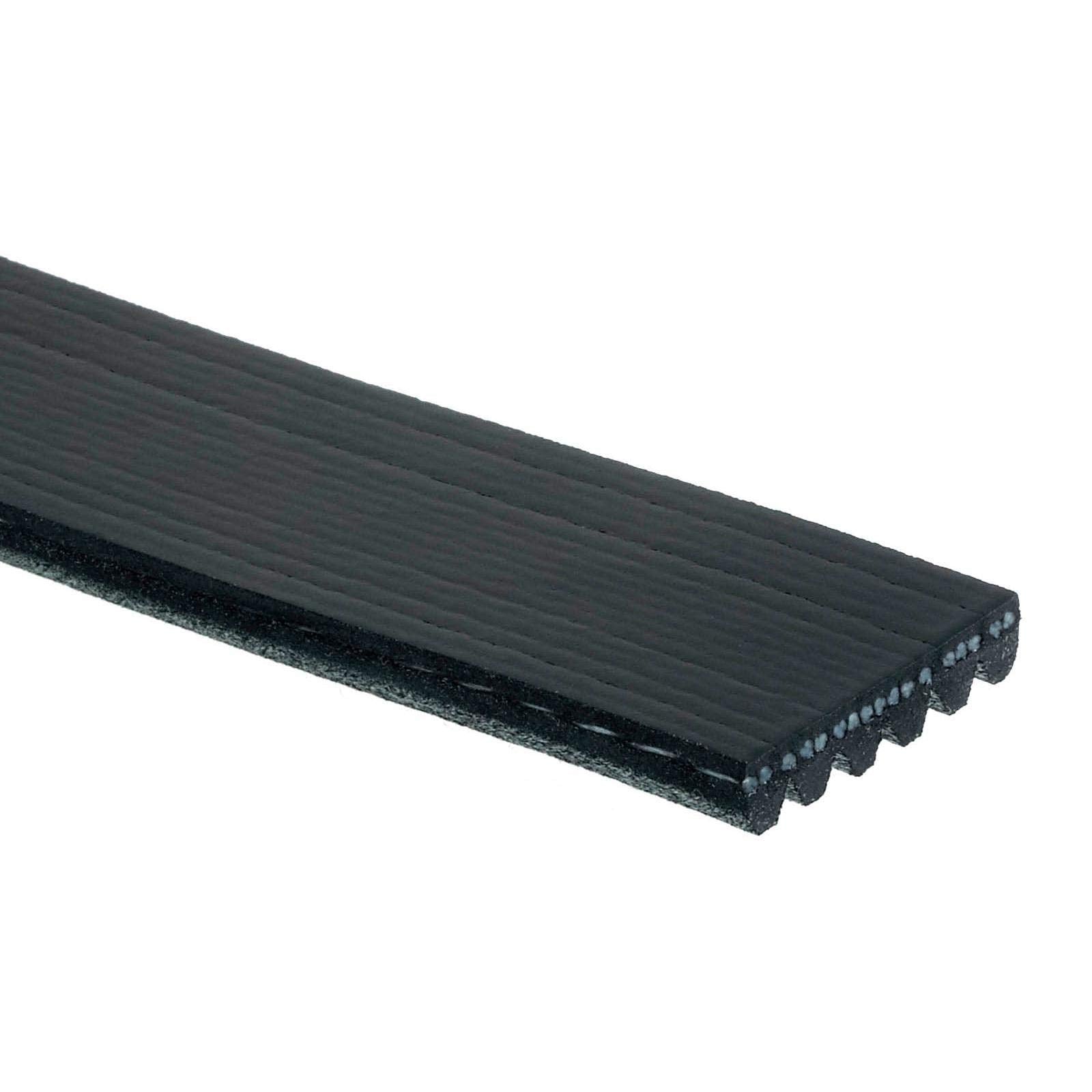 Automotive V-Ribbed Belt (Standard)