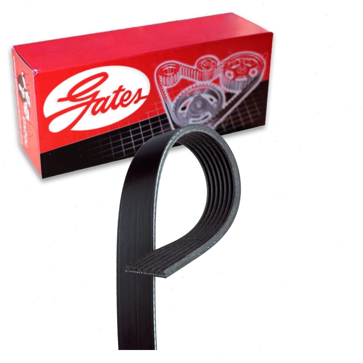 Gates Micro-V Serpentine Belt compatible with Honda CR-V 2.4L L4 2007-2009