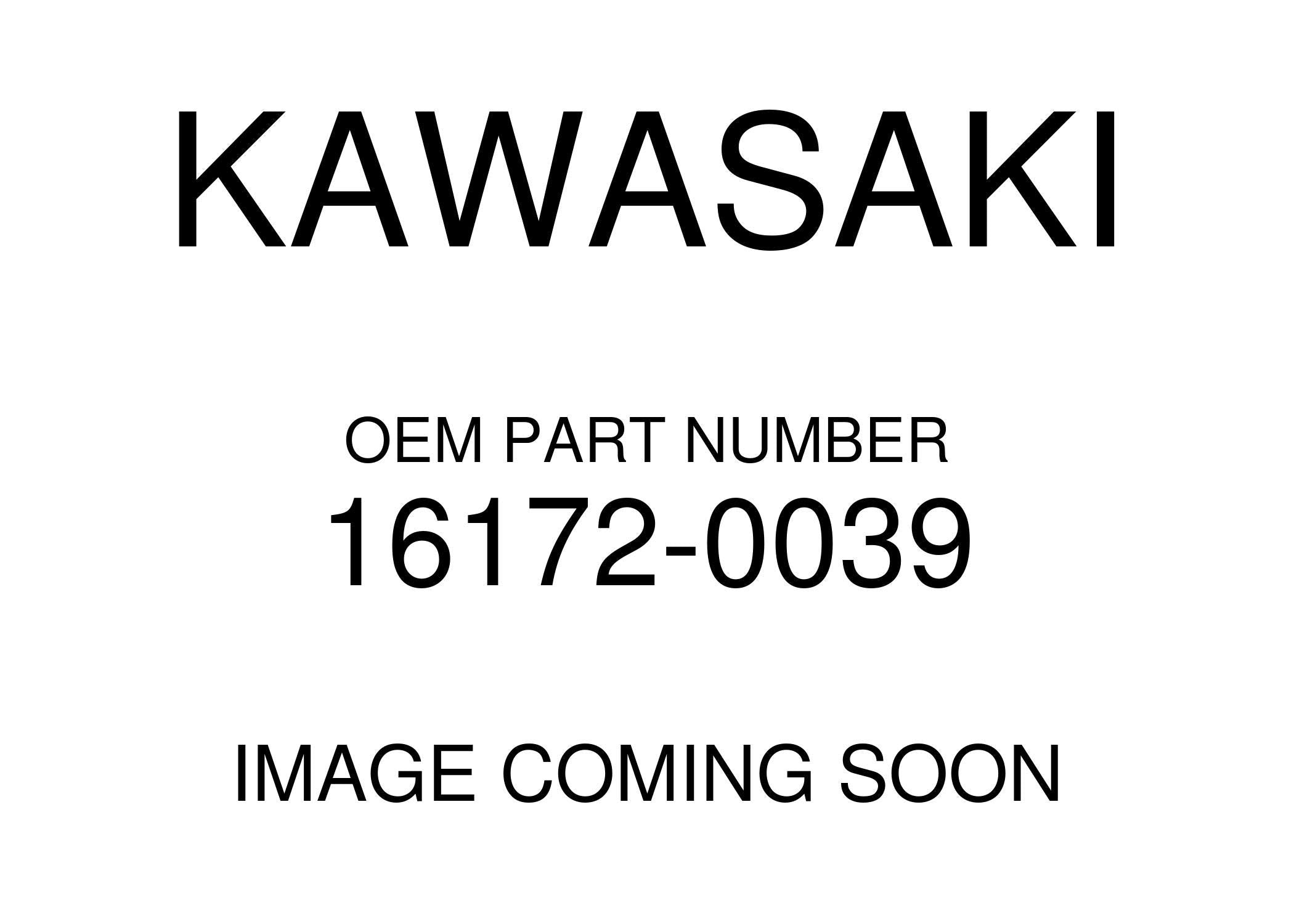 Kawasaki 2002-2020 Brute Prairie Actuator 16172-0039 New Oem