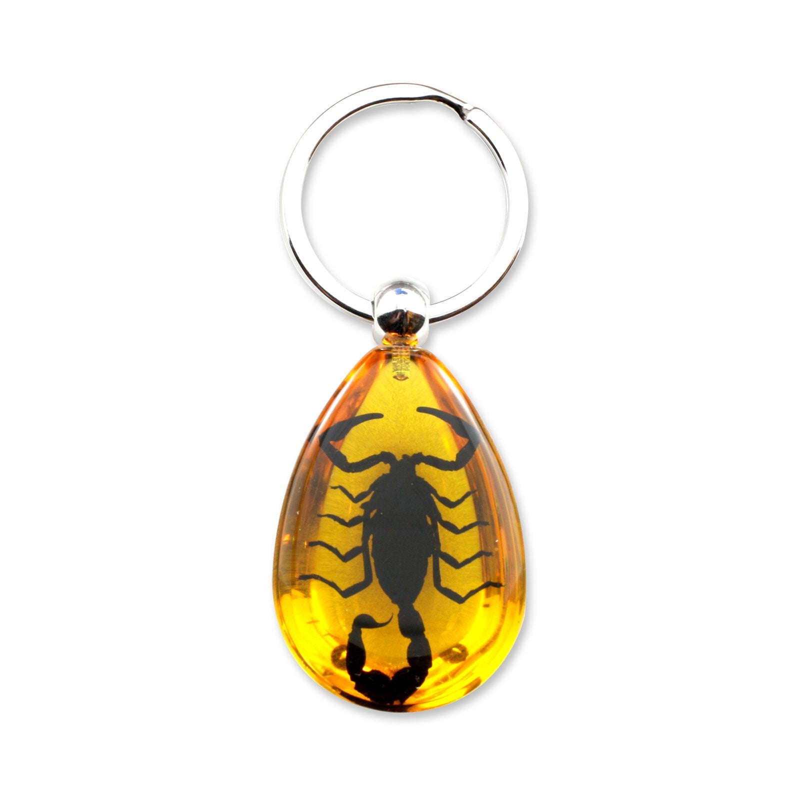 Black Scorpion Key Chain Tear Drop Amber