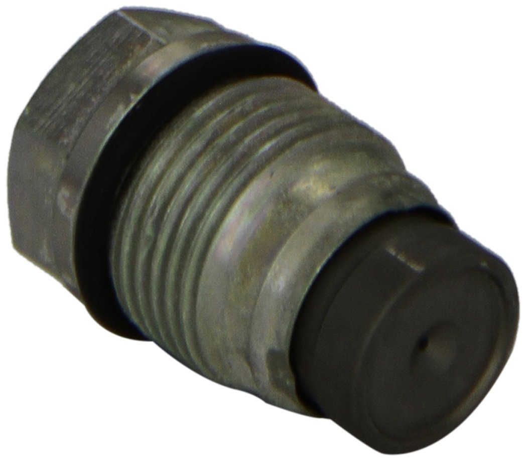 Bosch Relief Valve - 1110010013