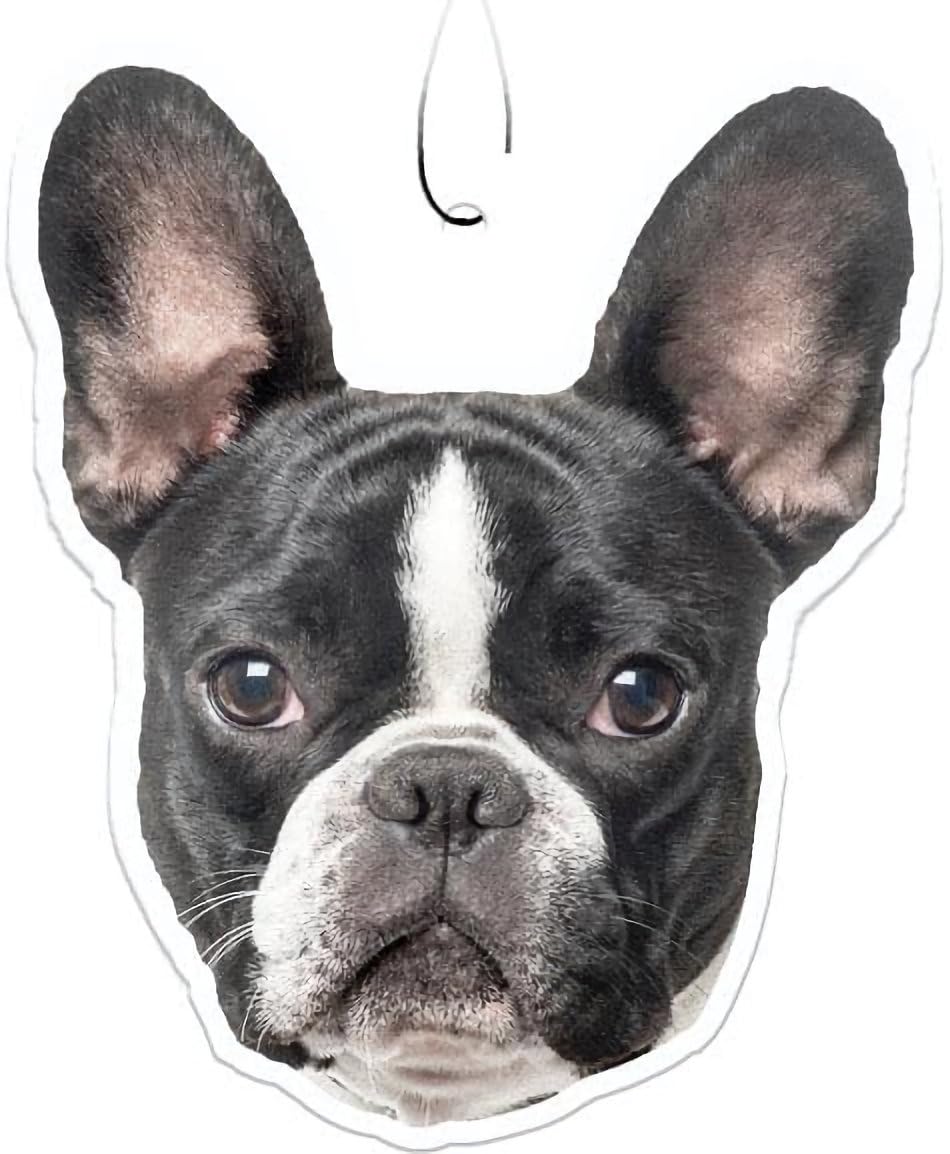 Spoontiques French Bulldog Air Freshener
