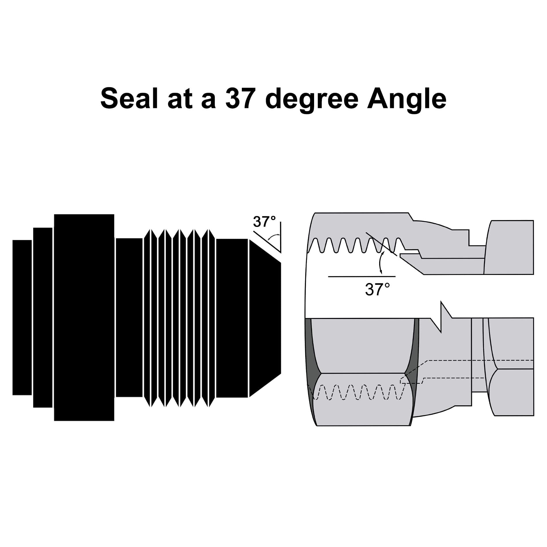 EVIL ENERGY 16AN Male Weld on Bung Fitting Aluminum 1PC