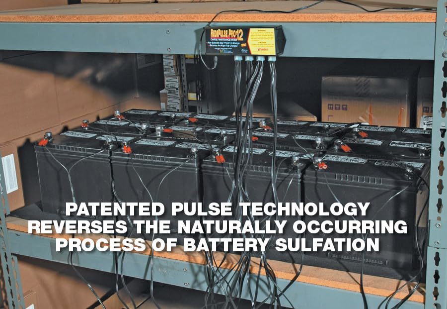 Pulsetech Pro-12-Rp - Redipulse12 Station Battery Maintenance System
