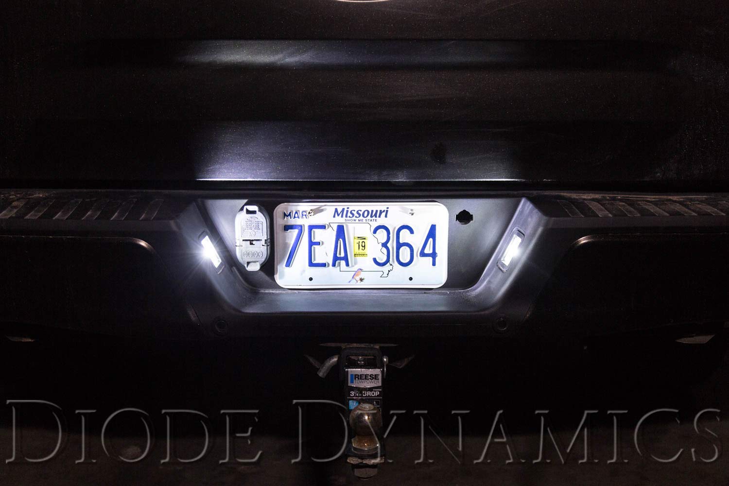 Diode Dynamics License Plate Leds Compatible With Ford F-150 1997-2017 (Pair), 194 Smd2 Cool White (6000K)