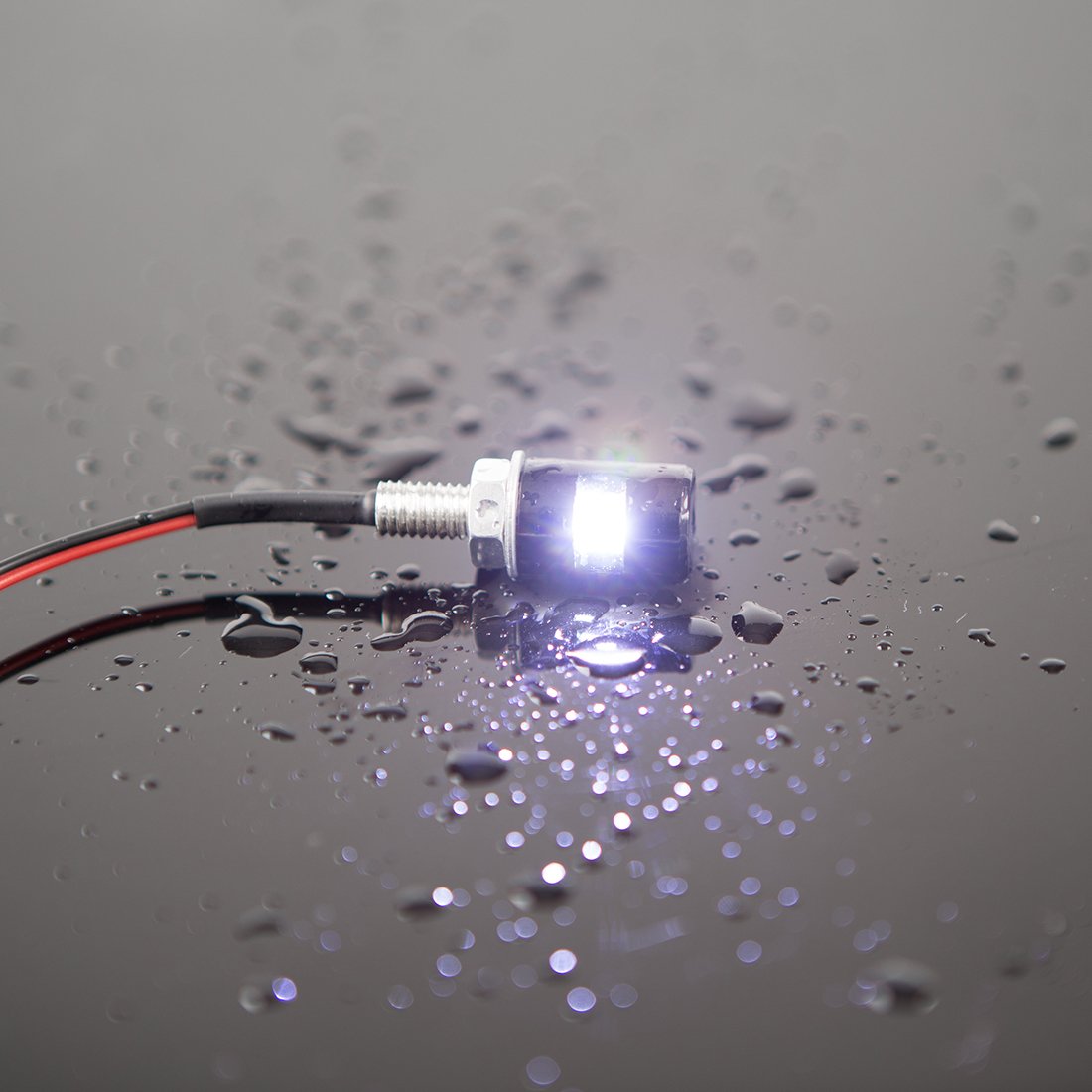 Czc Auto 2Pcs License Plate Light, License Tag Screw Bolt Lamp, 12V White Led Bulb, Waterproof/Rainproof, Black Aluminium Light