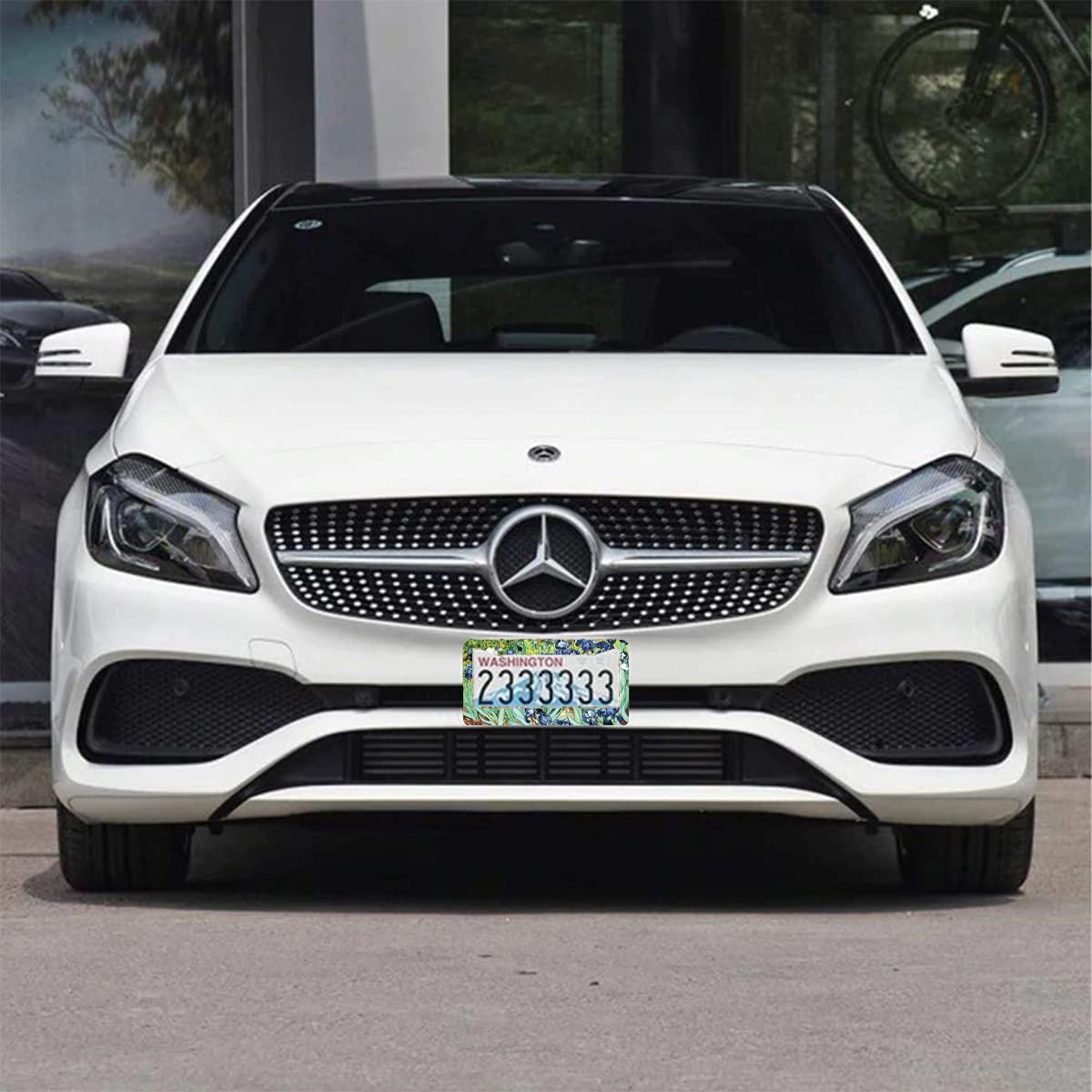 2Pcs Irises Watercolor Iris Floral License Plate Frames Cover Holders Stainless Steel License Plate Cover With Screw Caps Cover