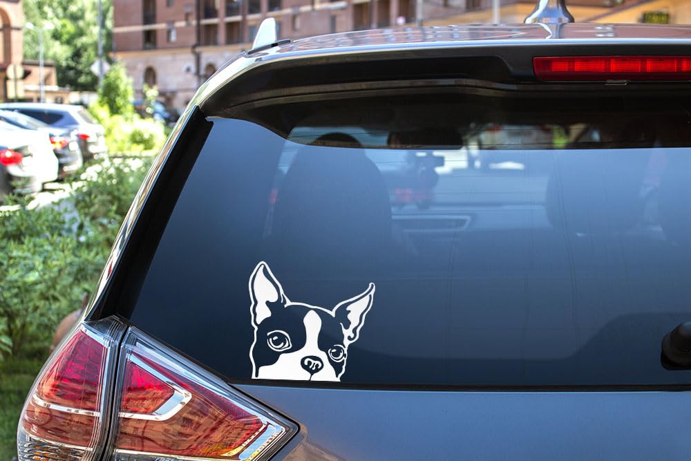 Wirester 6 Inch Clear Vinyl Decal Sticker Decoration For Car Window (Or Any Flat Surface) - Boston Terrier Dog