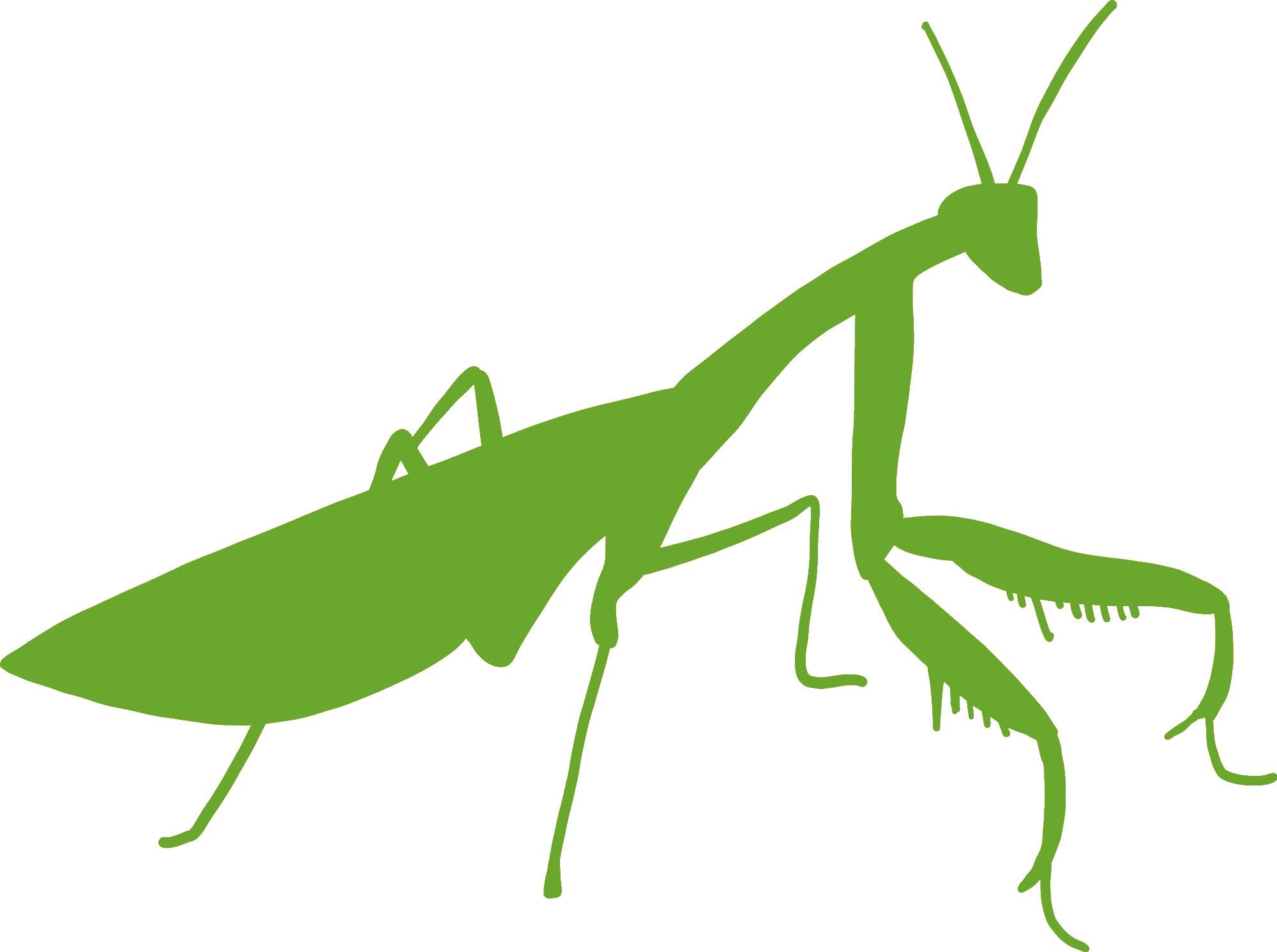 Hbarsci Praying Mantis - 5 Inches - For Cars, Trucks, Windows, Laptops, Tablets - Outdoor-Grade 2.5Mm Thick Vinyl - Lime