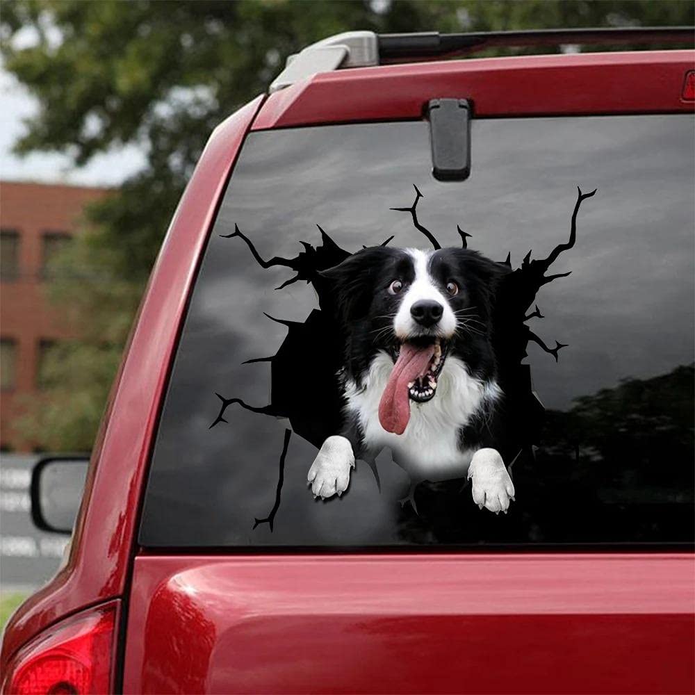 Chichuangk Cute Border Collie Crack 3D Car Sticker, Suv Window Glass Personalize WBCARB0943MTSFJ