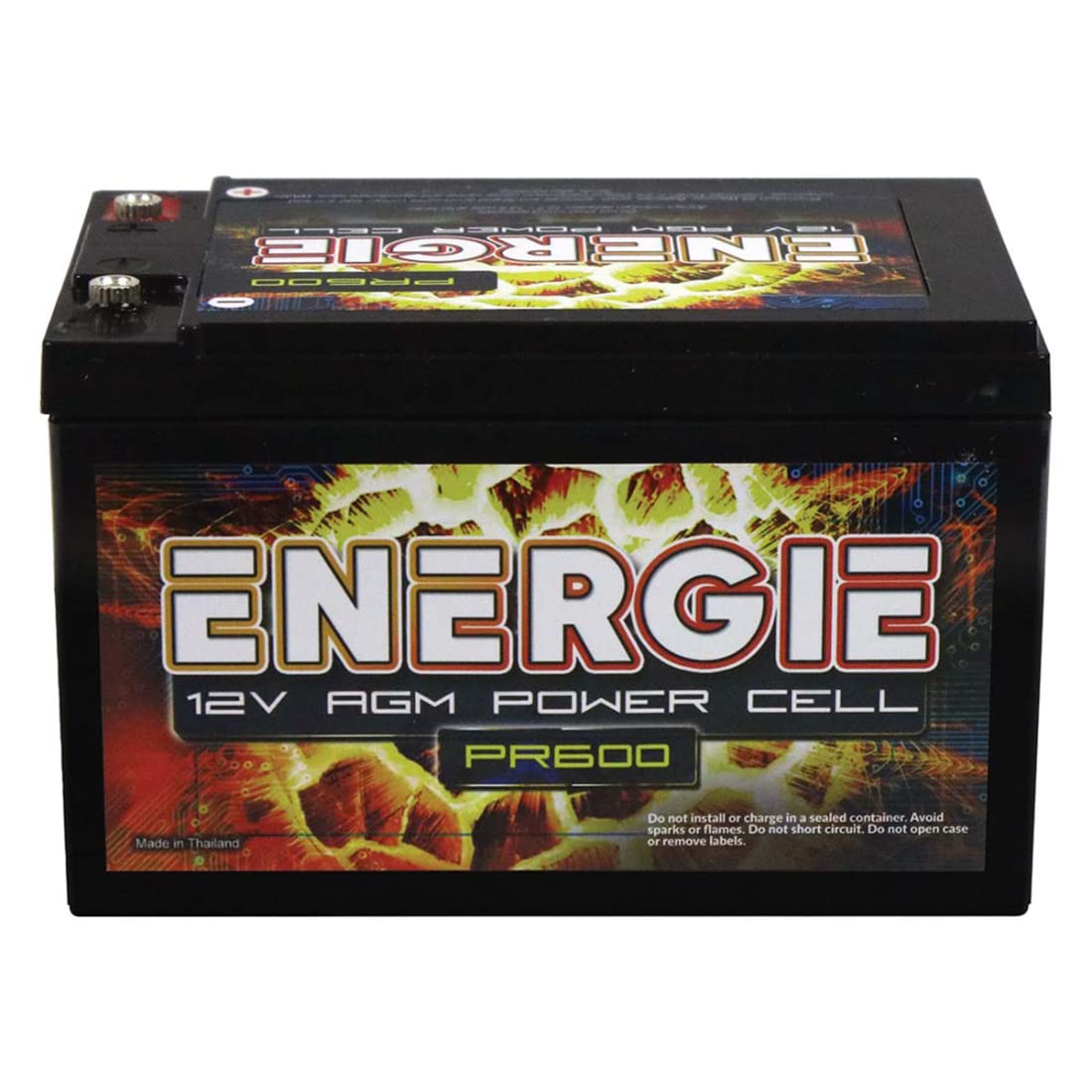 Reikken Pr600 Energie 600 Watt 12 Volt Power Cell