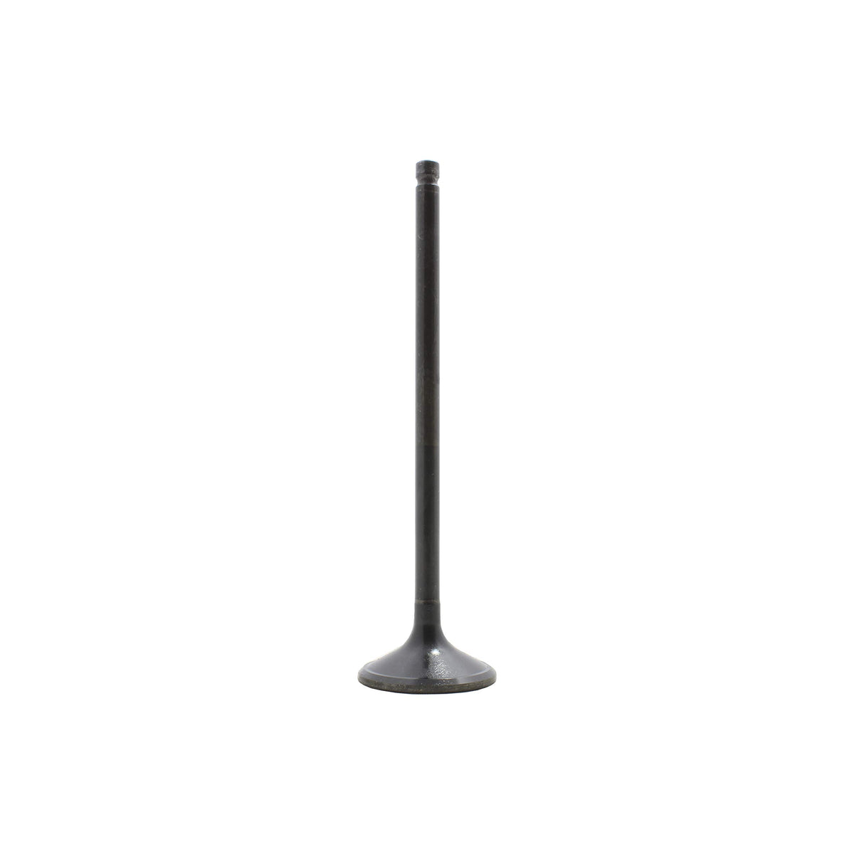 Dnj Ev263 Exhaust Valve For 2000-2015 / Acura, Honda, Saturn/Accord, Pilot, Ridgeline, Rl, Tl, Tsx, Vue / 3.0L, 3.2L, 3.5L, 3.7L