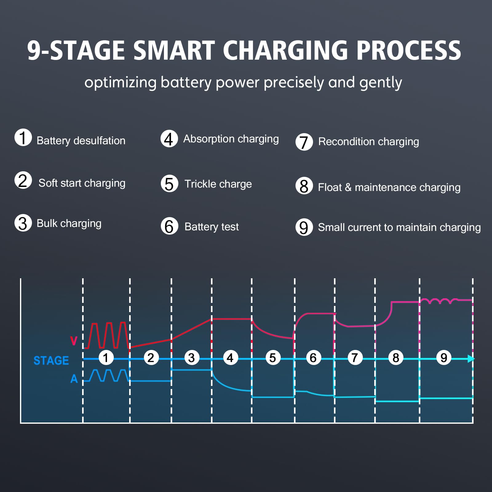 Lithium Lifepo4 Battery Charger,12V 24V Agm Deep Cycle Fully Automatic Car Battery Charger,12 Volt 24 Volt 20 Amp Batetry Charge