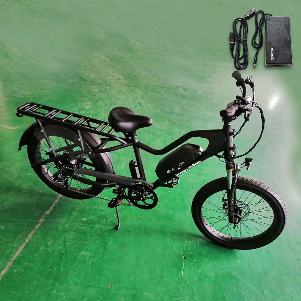 Syvrac 2A Electric Bike Charger for 48V Lithium Battery, AC120V Input, DC2.1MM Jack, Black 2, Model 1F-DPOWER-1-