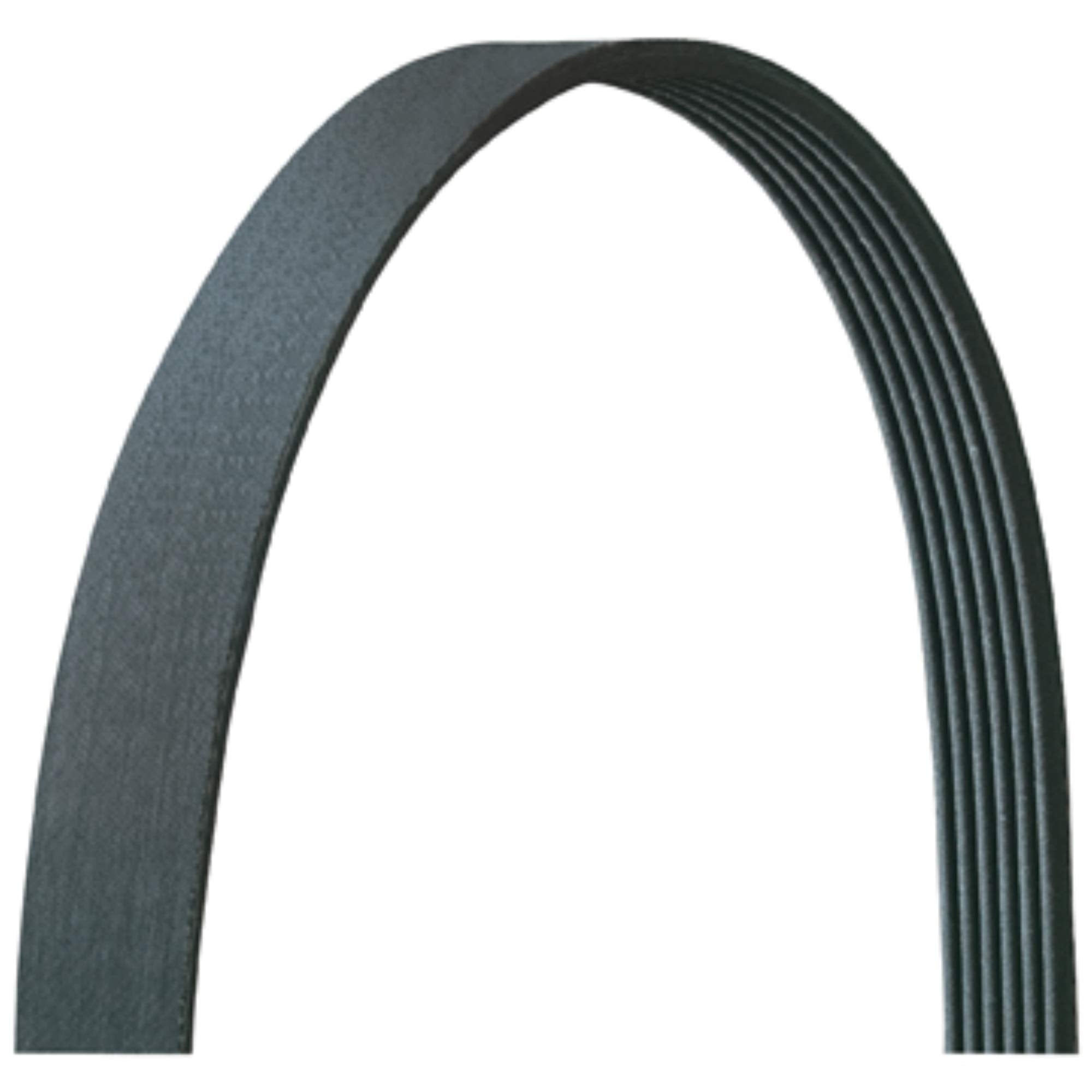 Dayco 5060431Dr V-Ribbed Belt