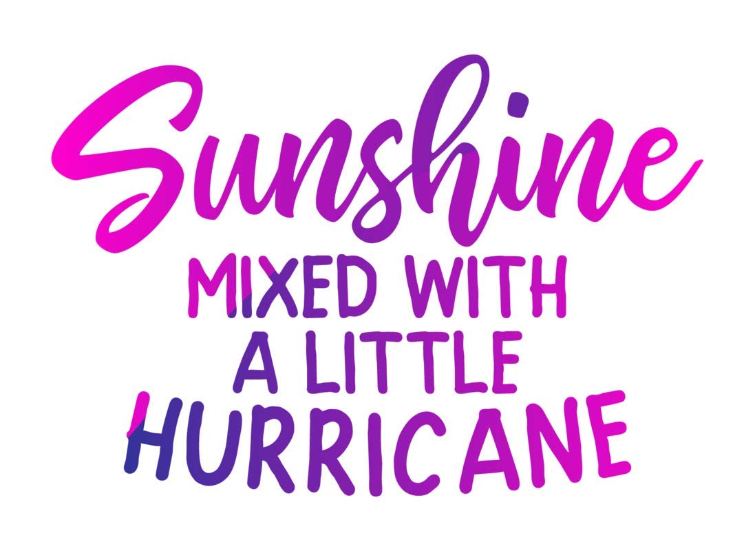 Sunshine Mixed With A Little Hurricane Vinyl Decal Sticker - Car Truck Van Suv Window Wall Cup Laptop - One 5.5 Inch Decal - Mks