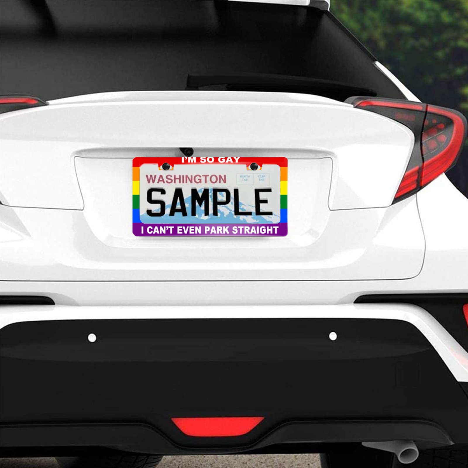 NEWCOCO Stainless Steel Gay License Plate Frame 12x6 Inch, Rustproof, "I'm So Gay I Can't Even Park Straight"