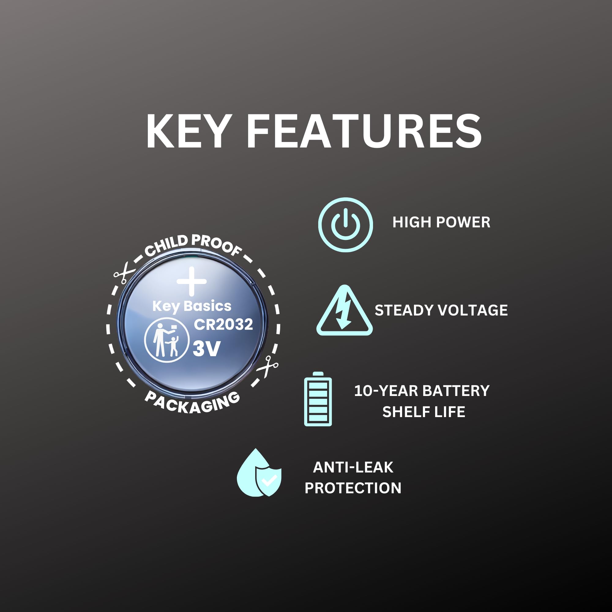 Key Fob Replacement Batteries for Nissan (Rogue Altima Sentra Frontier Pathfinder Kicks Murano Armada Juke Leaf Maxima Quest Tit