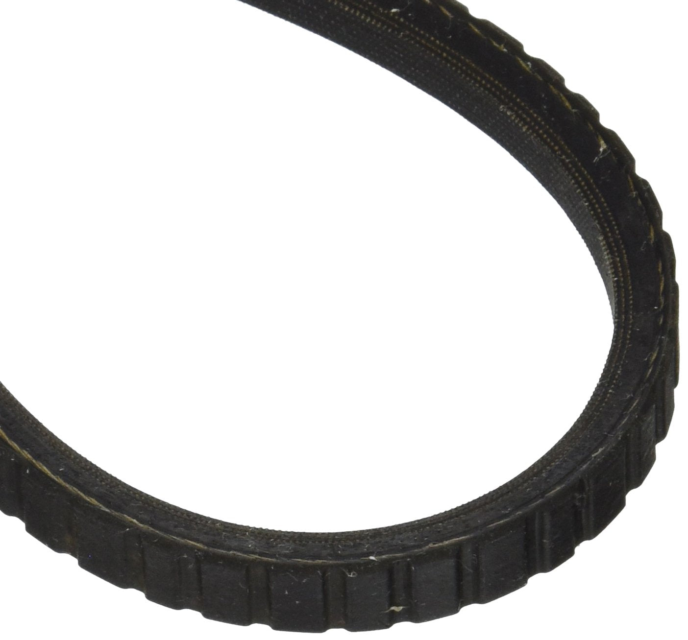 Dayco 17448 Fan Belts , Black