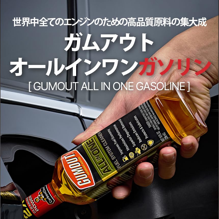 Gumout 510016 All-In-One Complete Fuel System Cleaner, 10Oz. (Pack Of 6)