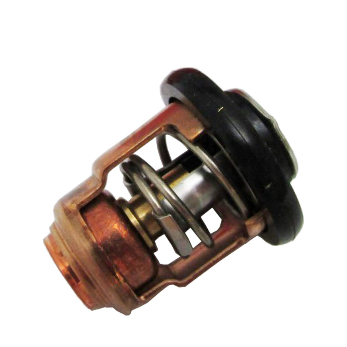 Oem Yamaha 2-Stroke Outboard Thermostat 6E5-12411-30-00
