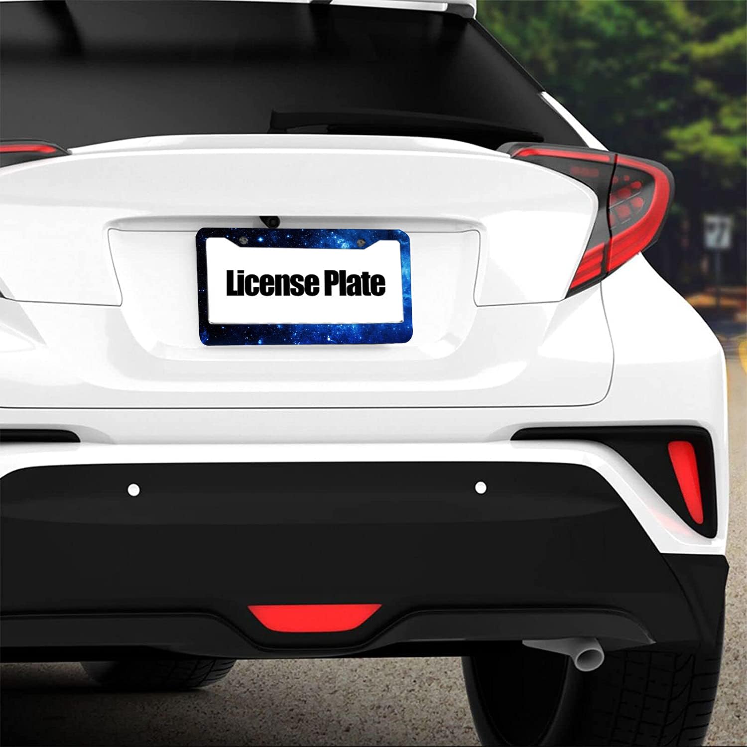 2Pcs Daisy License Plate Frame Cute Black And White Flower Art Car Accessories Floral License Plate Frame Holder For Front Rear