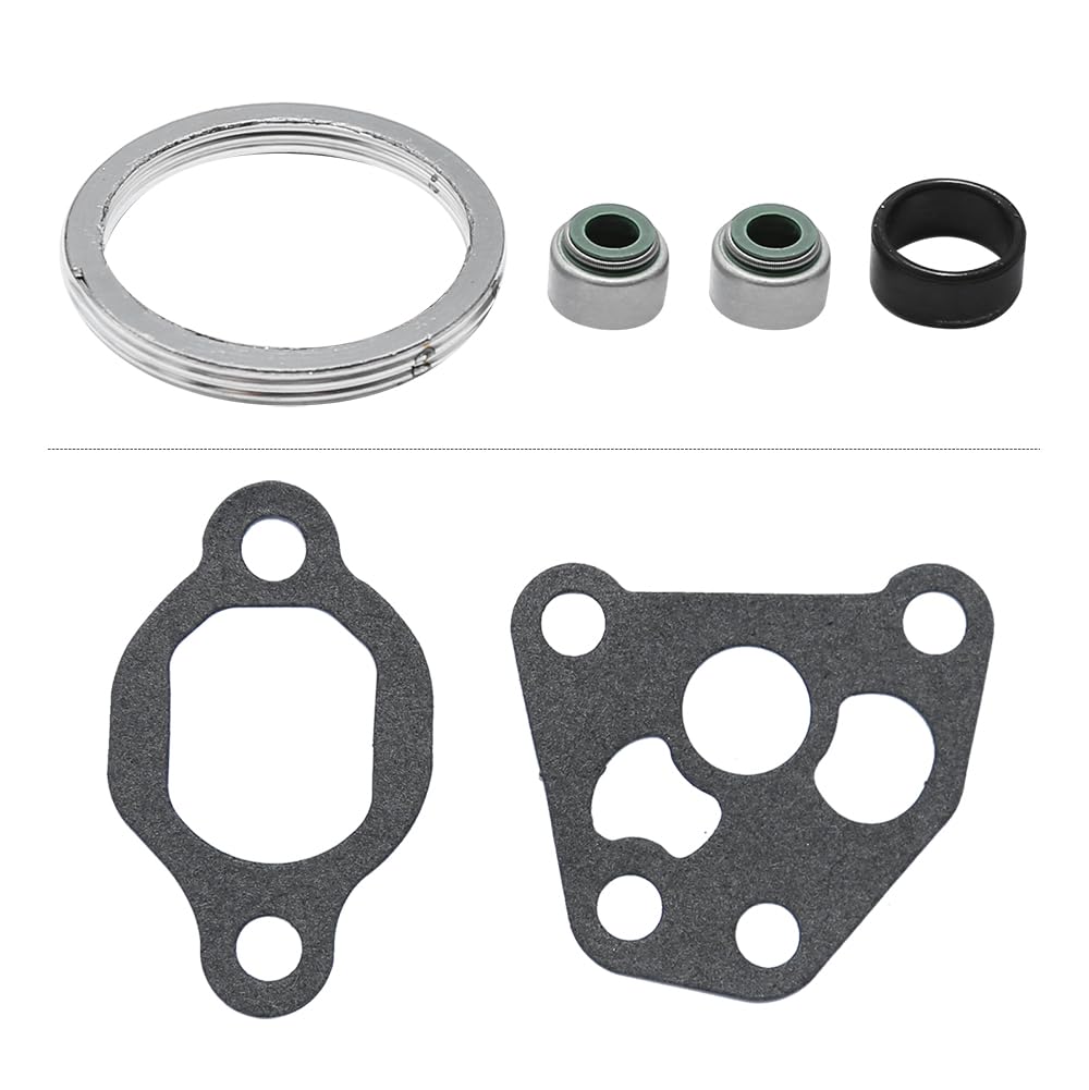 Hoypeyfiy Top And Bottom End Complete Gasket Kit Set Replacement For Yamaha Warrior Raptor Big Bear 350