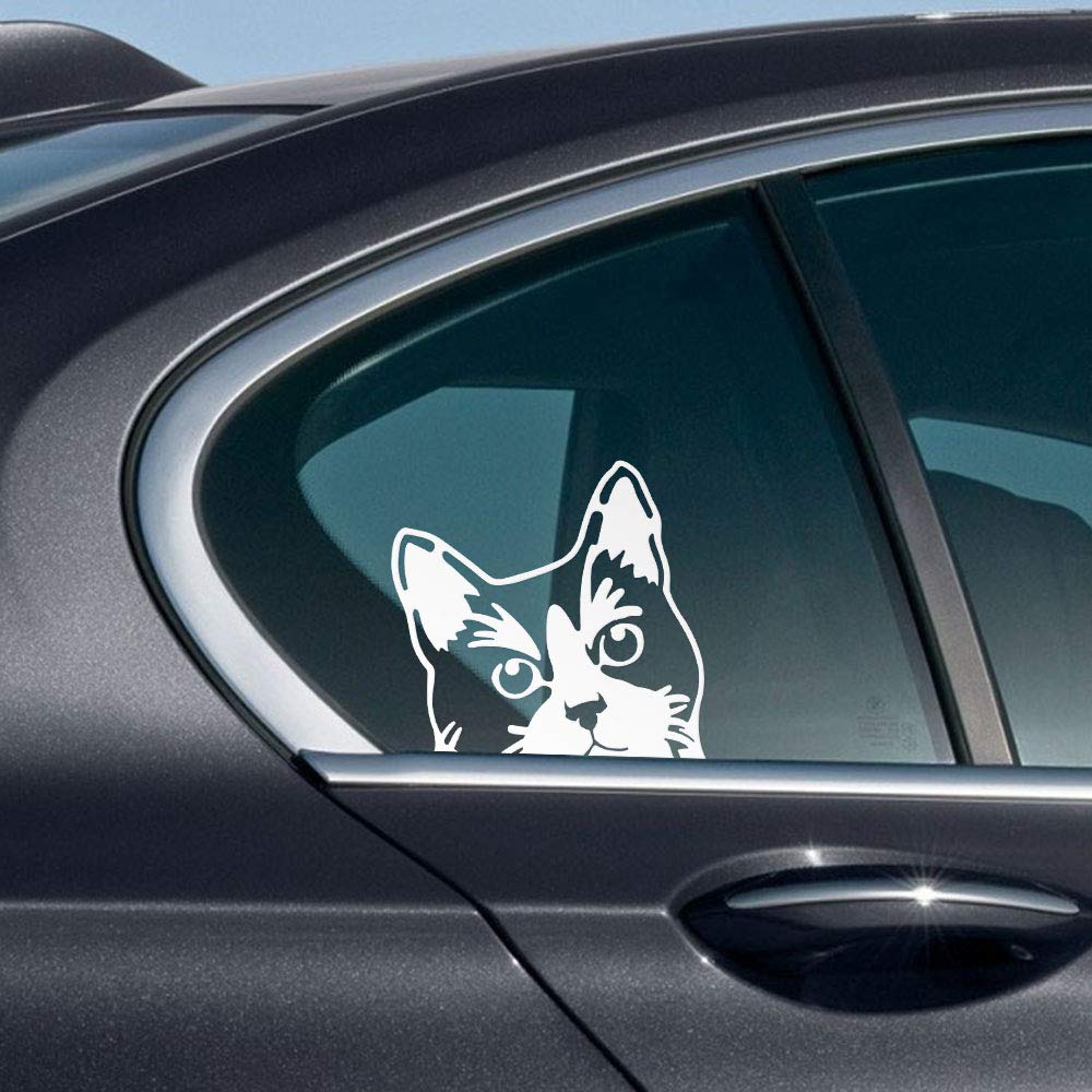 Wirester 6 Inch Clear Vinyl Decal Sticker Decoration For Car Window (Or Any Flat Surface) - Tuxedo Cat