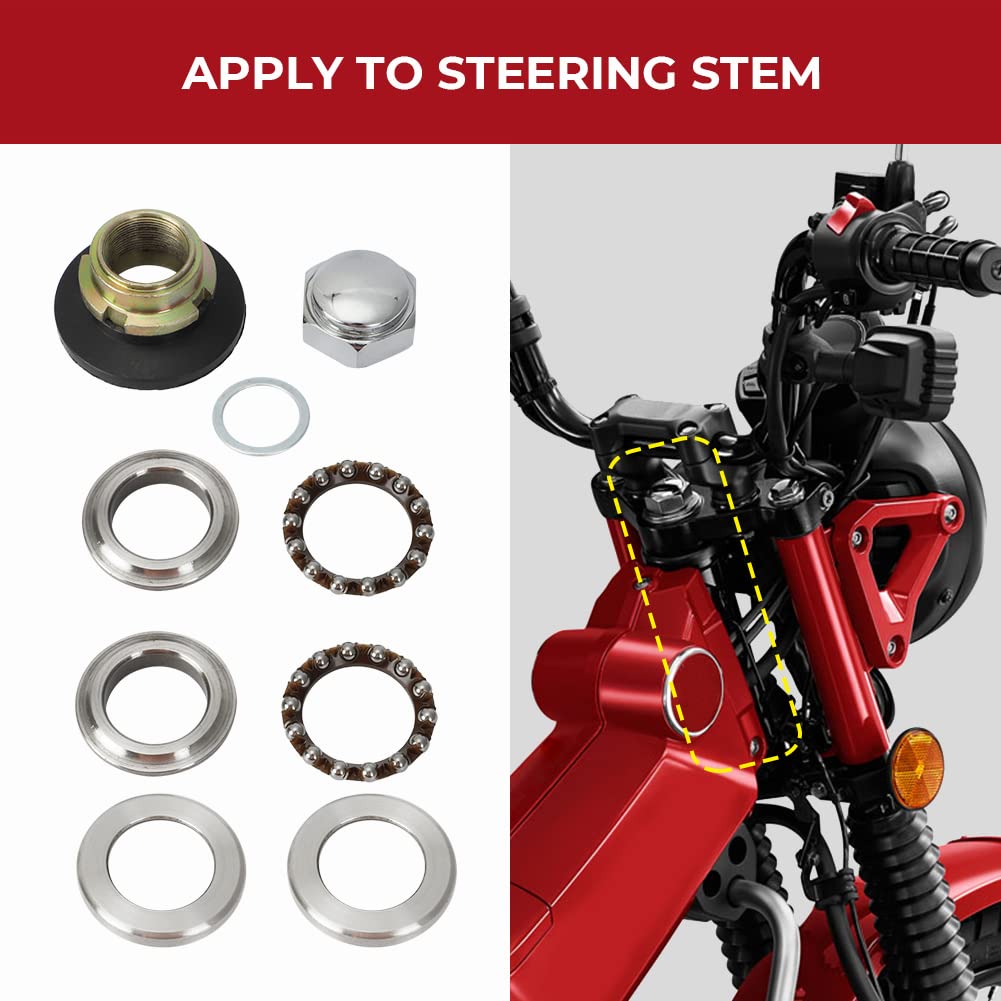 Alpha Rider Steering Stem Bearing Rebuild Kit for Honda CT90 CL70 SL70 XL70 XR100 CL90 ATC200 ATC70 Z50 ATC185 Mini Trail Bearin