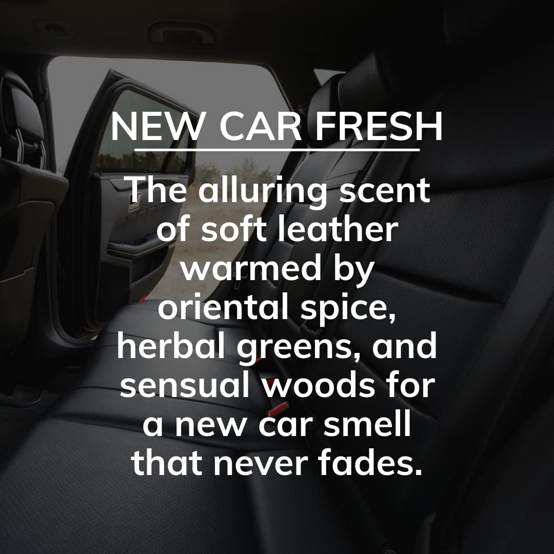 Citrus Magic On The Go Odor Absorbing Solid Air Freshener, Luxurious New Car, 8-Ounce, Pack Of 3