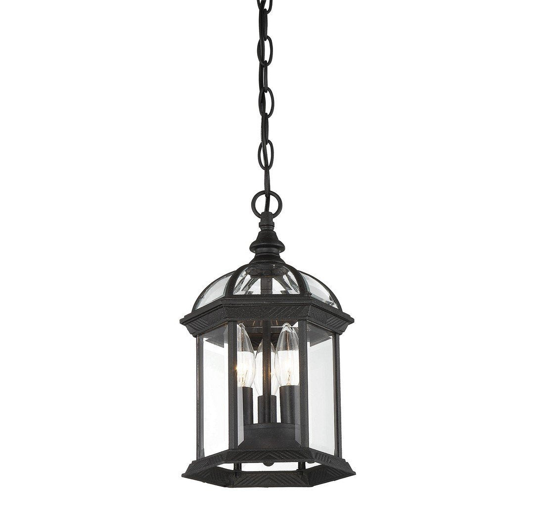 Savoy House 5-0635-Bk Outdoor Pendant With Clear Beveled Shades, Textured Black Finish